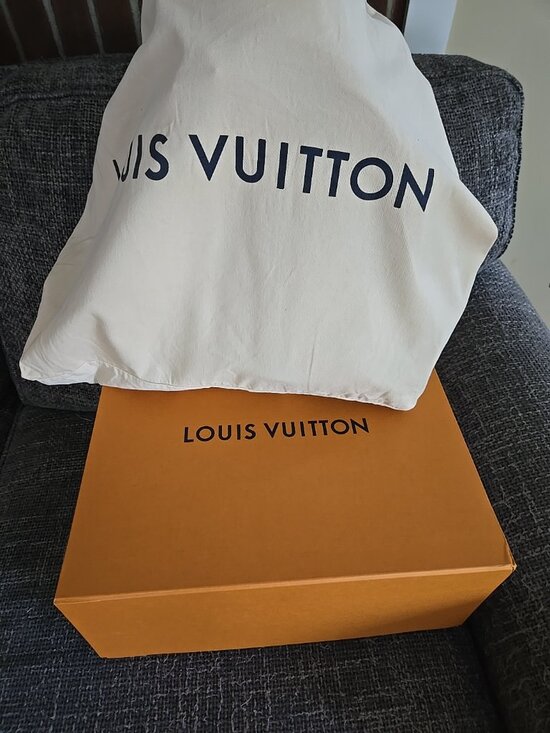 Louis-vuitton Palm Springs MM backpack main image 6